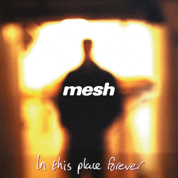 In This Place Forever album cover