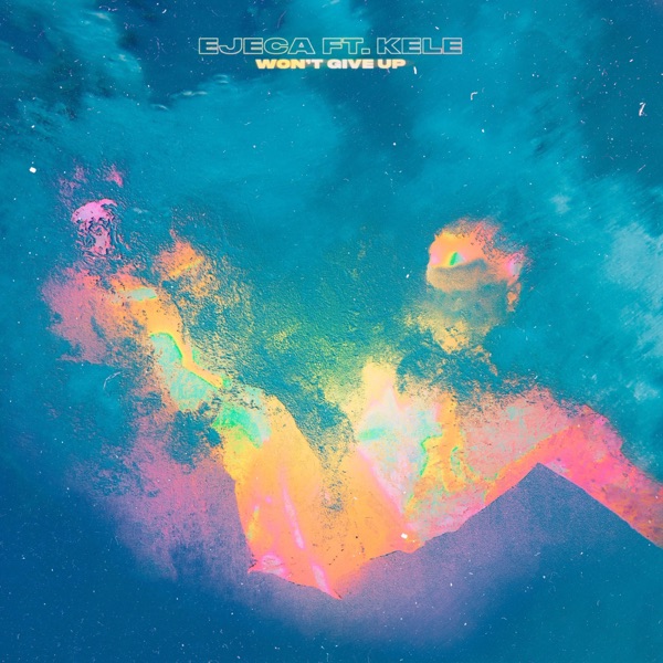 Won't Give Up (feat. Kele) - Single album cover