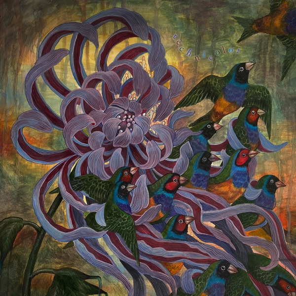 technicolor album cover