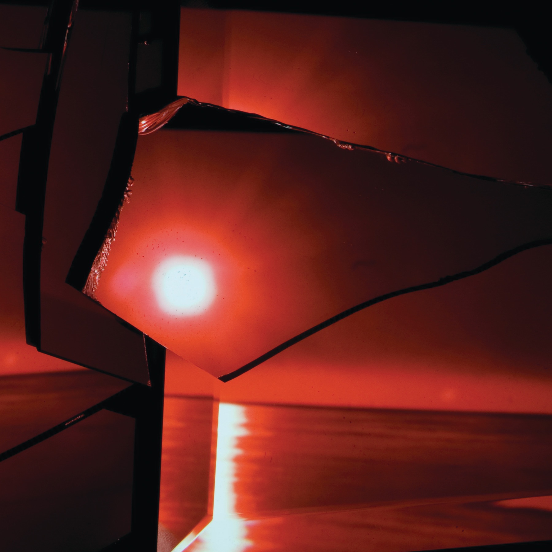 Nine Types of Light album cover