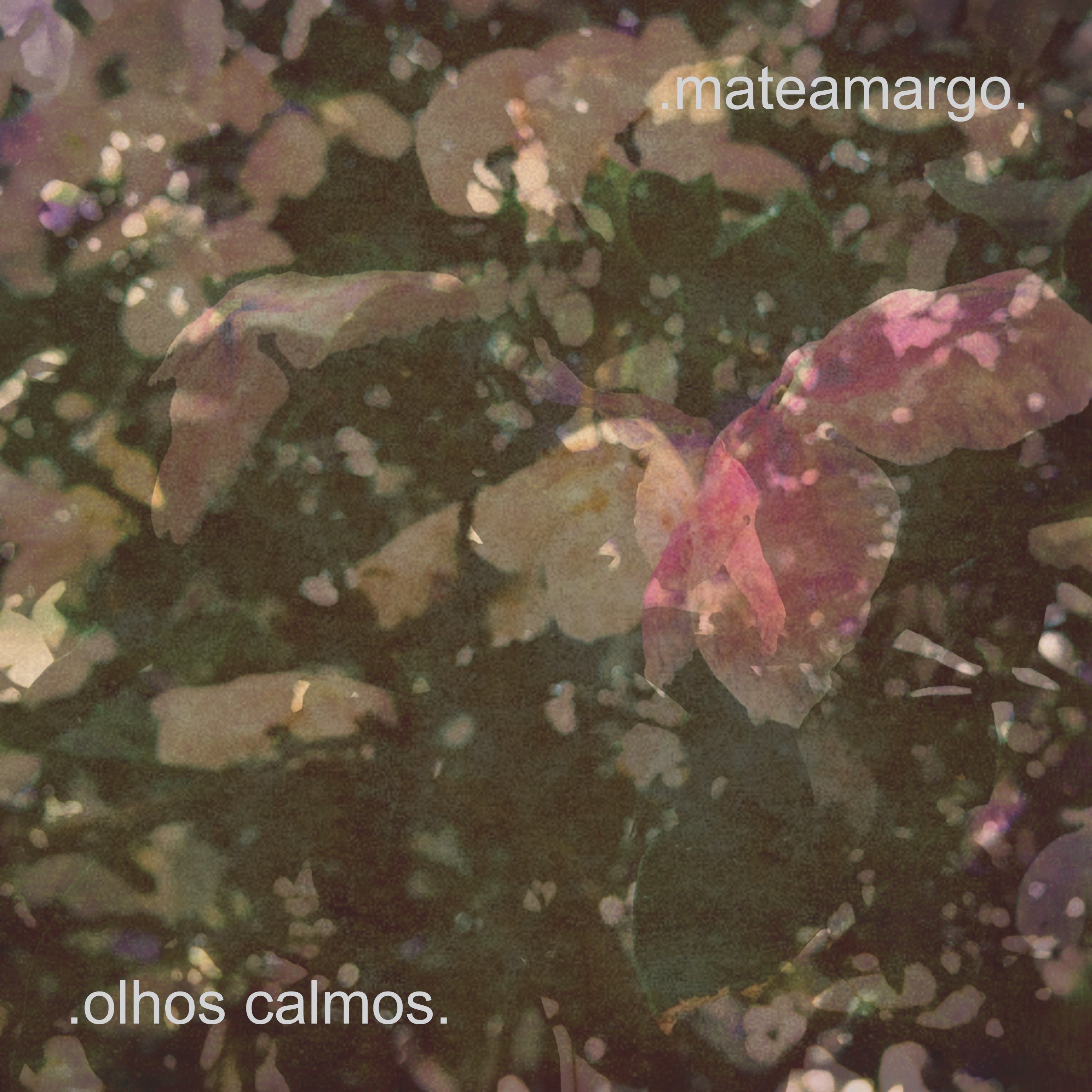 Olhos Calmos - Single album cover