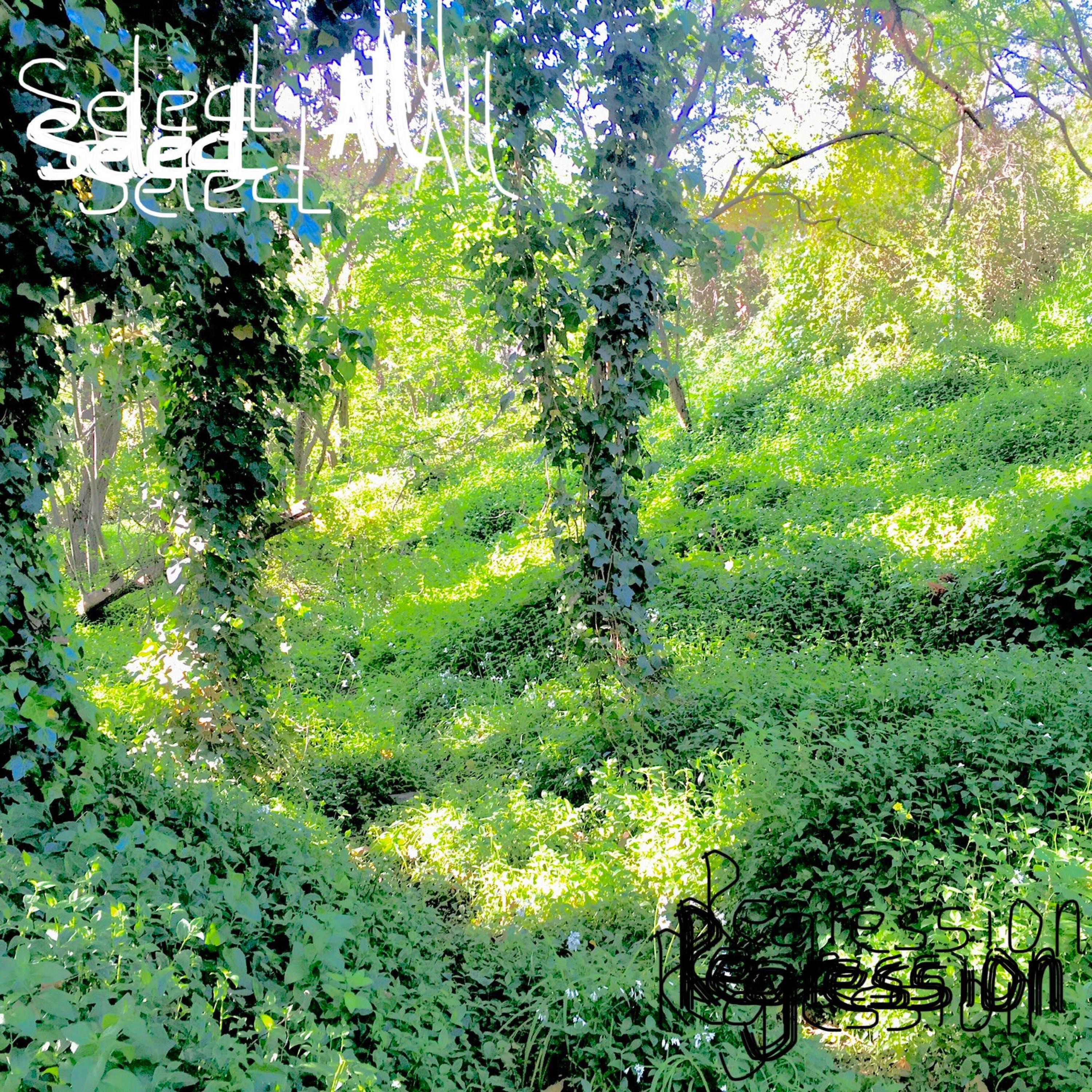 Regression - Single album cover