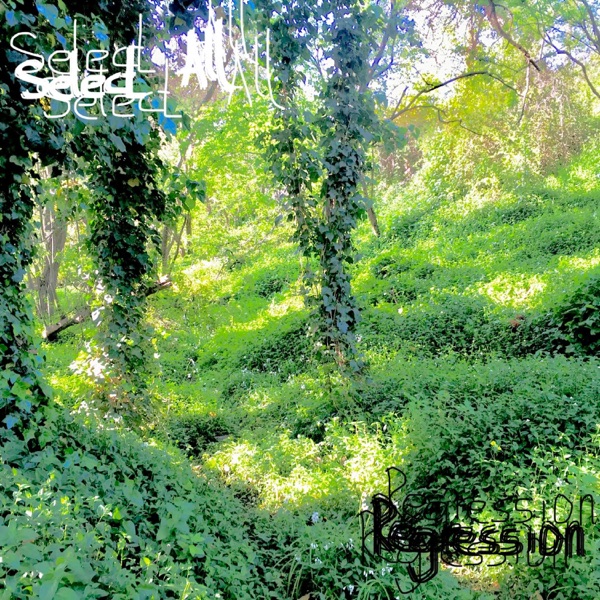 Regression - Single album cover
