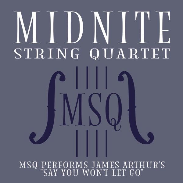 MSQ Performs James Arthur's Say You Won't Let Go - Single album cover