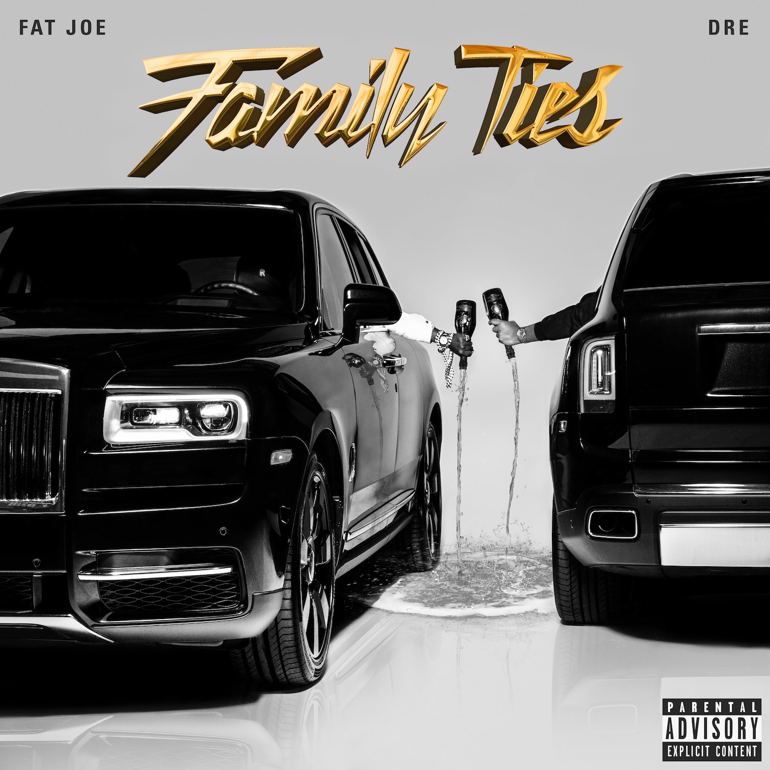 Family Ties album cover