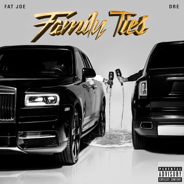 Family Ties album cover