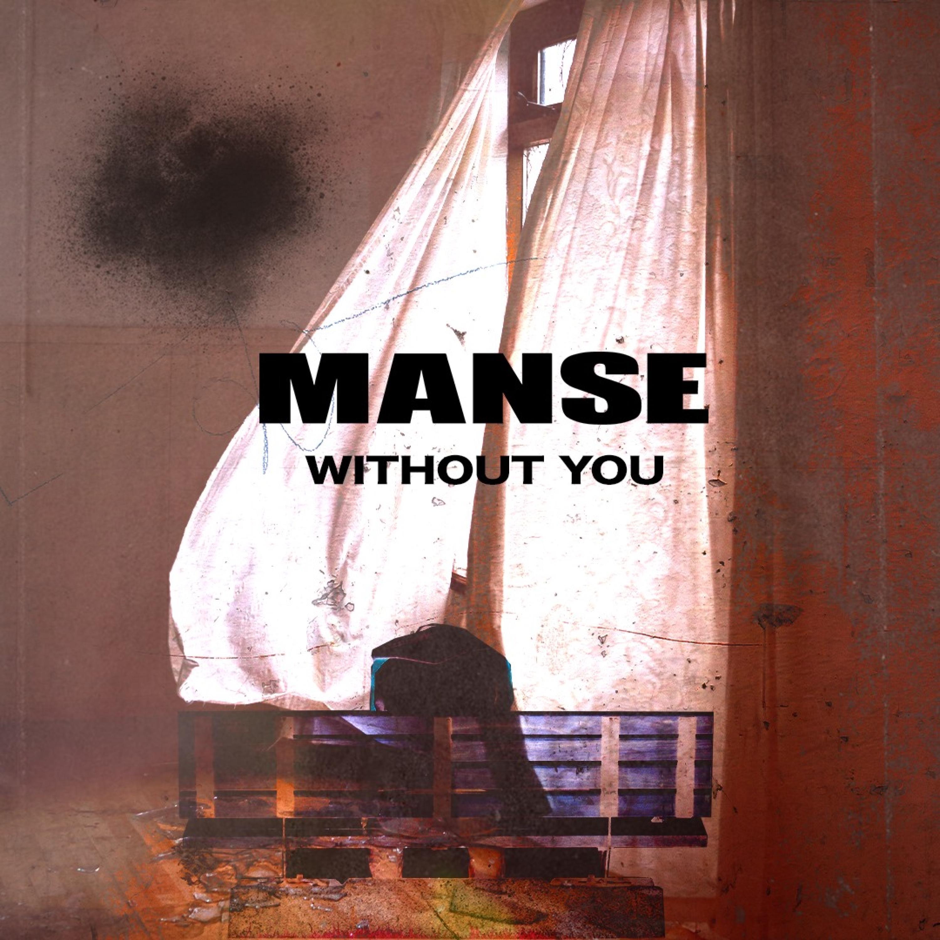 Without You - Single album cover