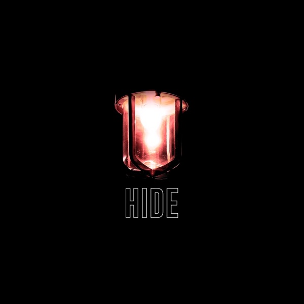 Hide (Radio Edit) - Single album cover