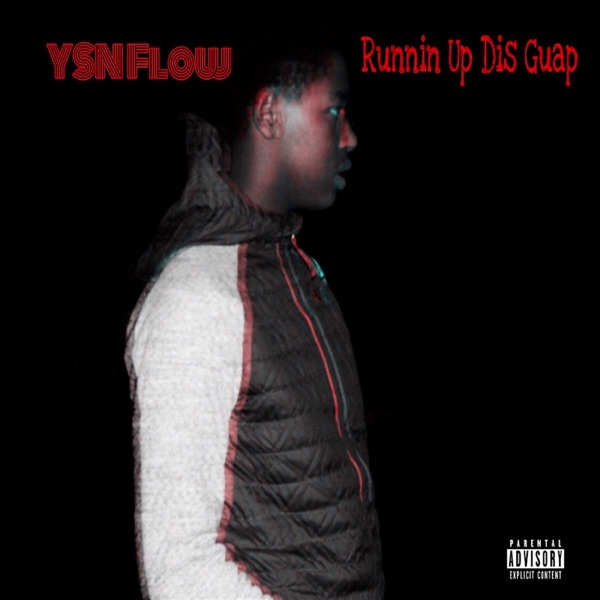Runnin' up Dis Guap - Single album cover