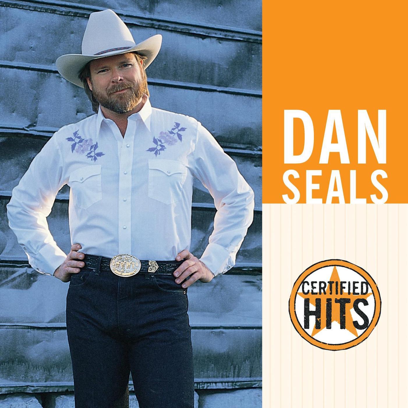 Certified Hits: Dan Seals album cover