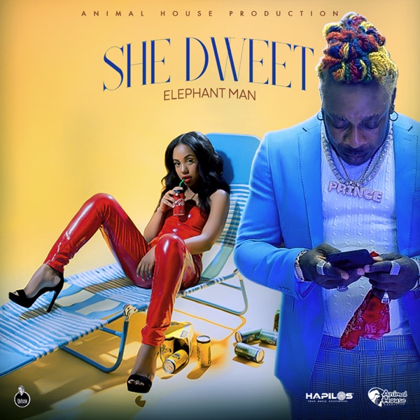 She Dweet album cover