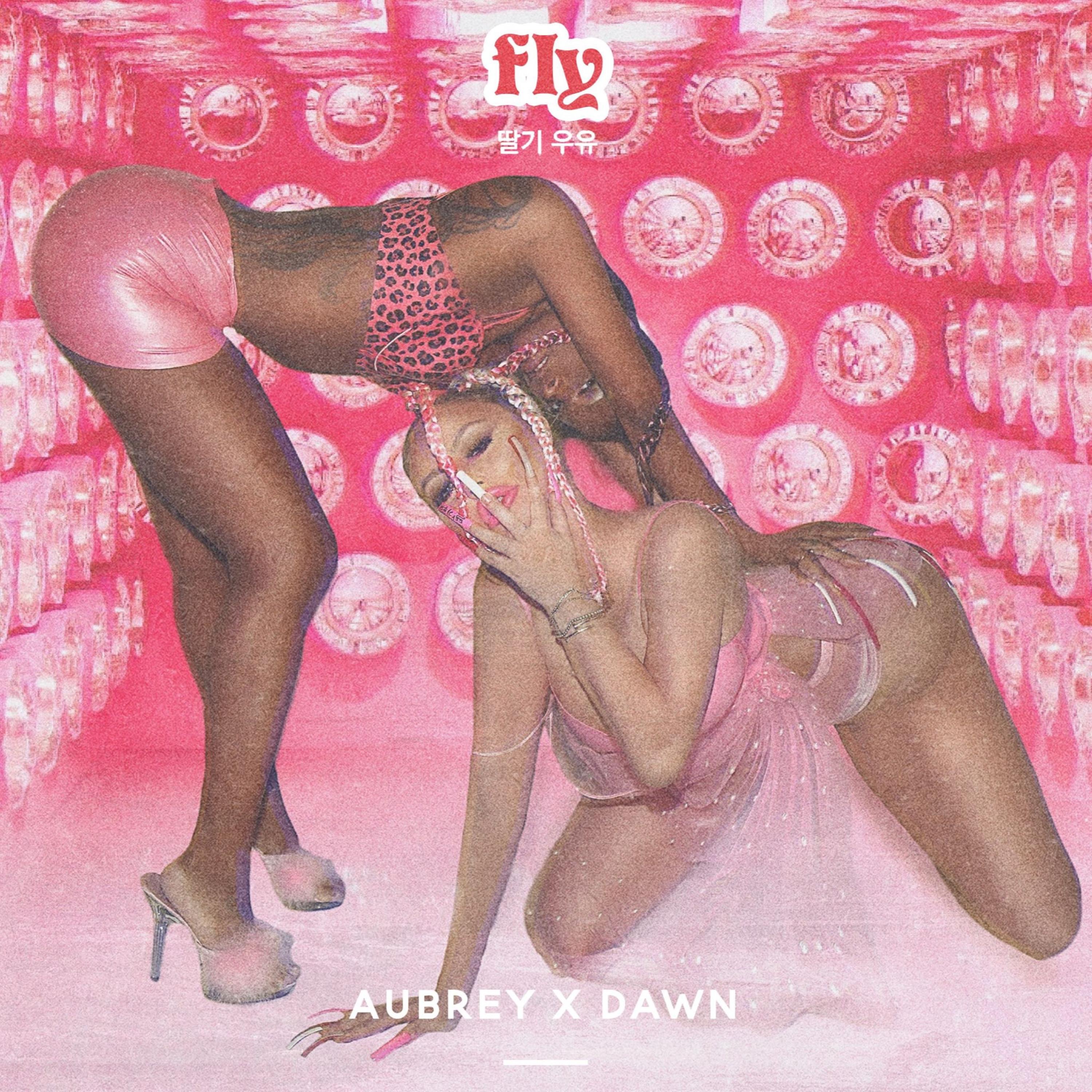Fly - Single album cover
