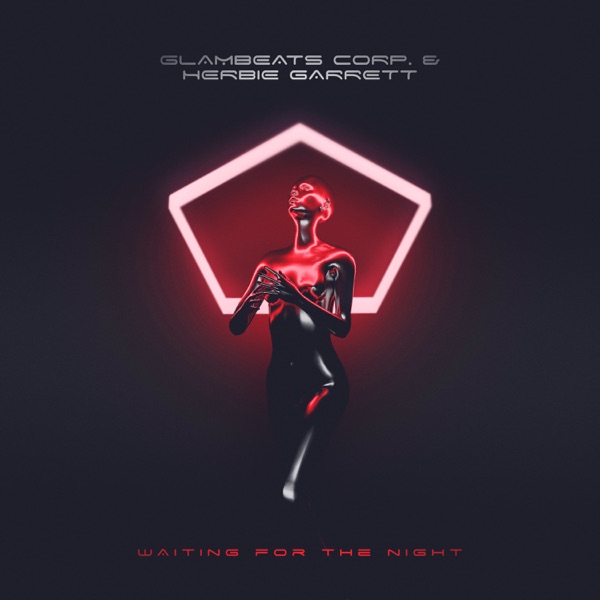 Waiting for the Night - Single album cover