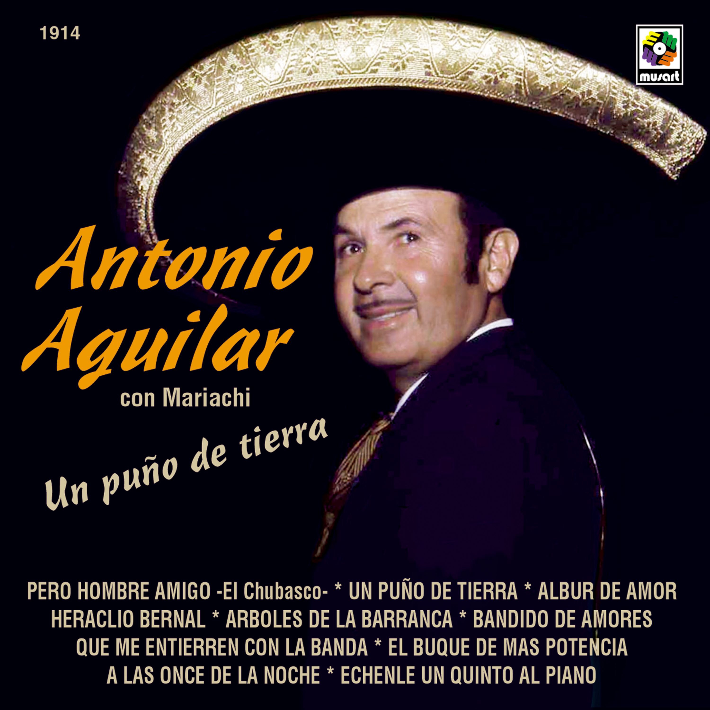 Un Puño de Tierra album cover
