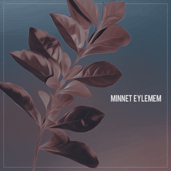 Minnet Eylemem - Single album cover
