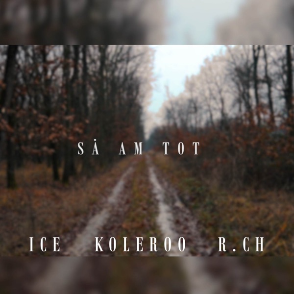 Să Am Tot (feat. Koleroo & Rch) - Single album cover
