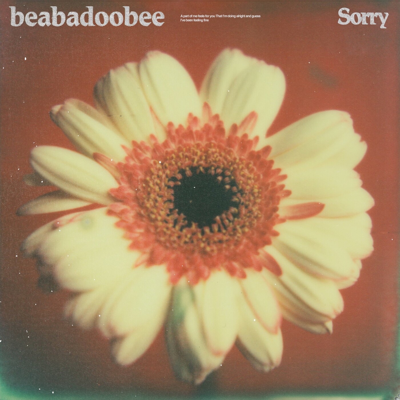 Sorry (Alternate Edit) - Single album cover