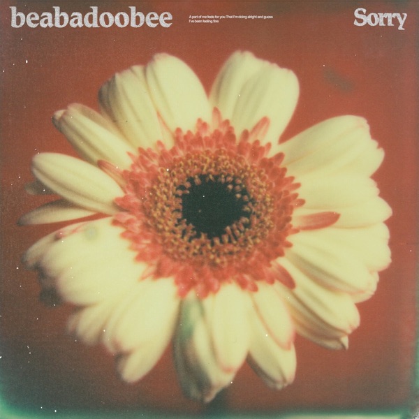 Sorry (Alternate Edit) - Single album cover