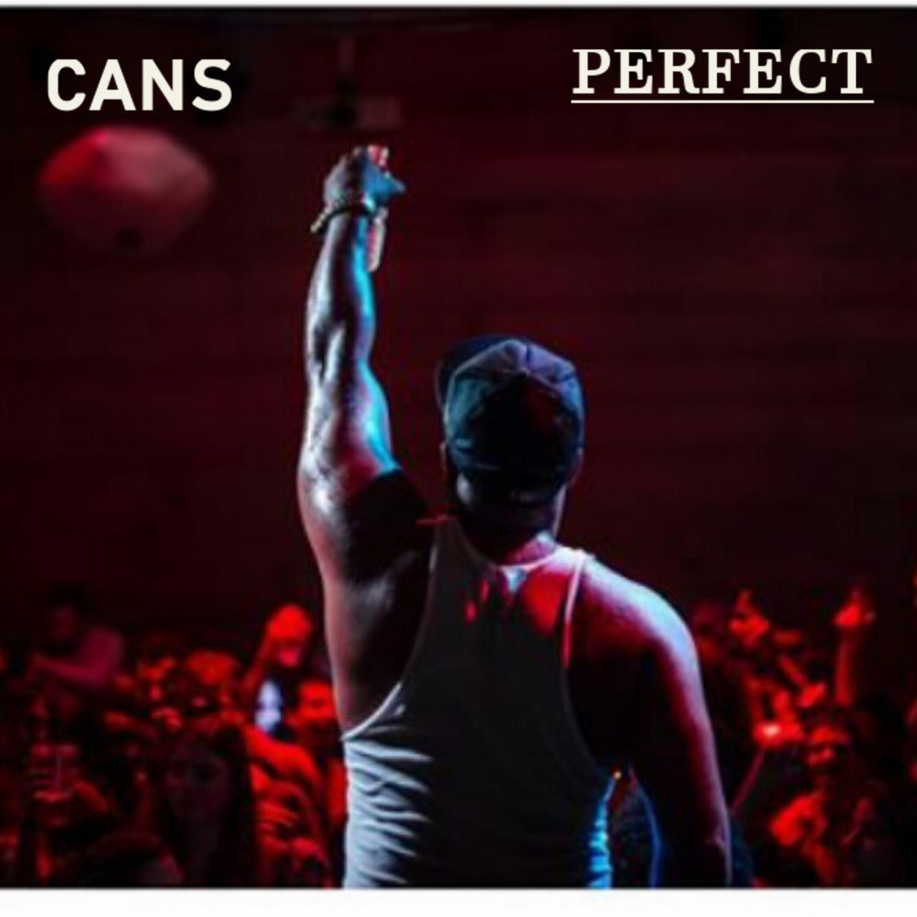 Perfect - Single album cover