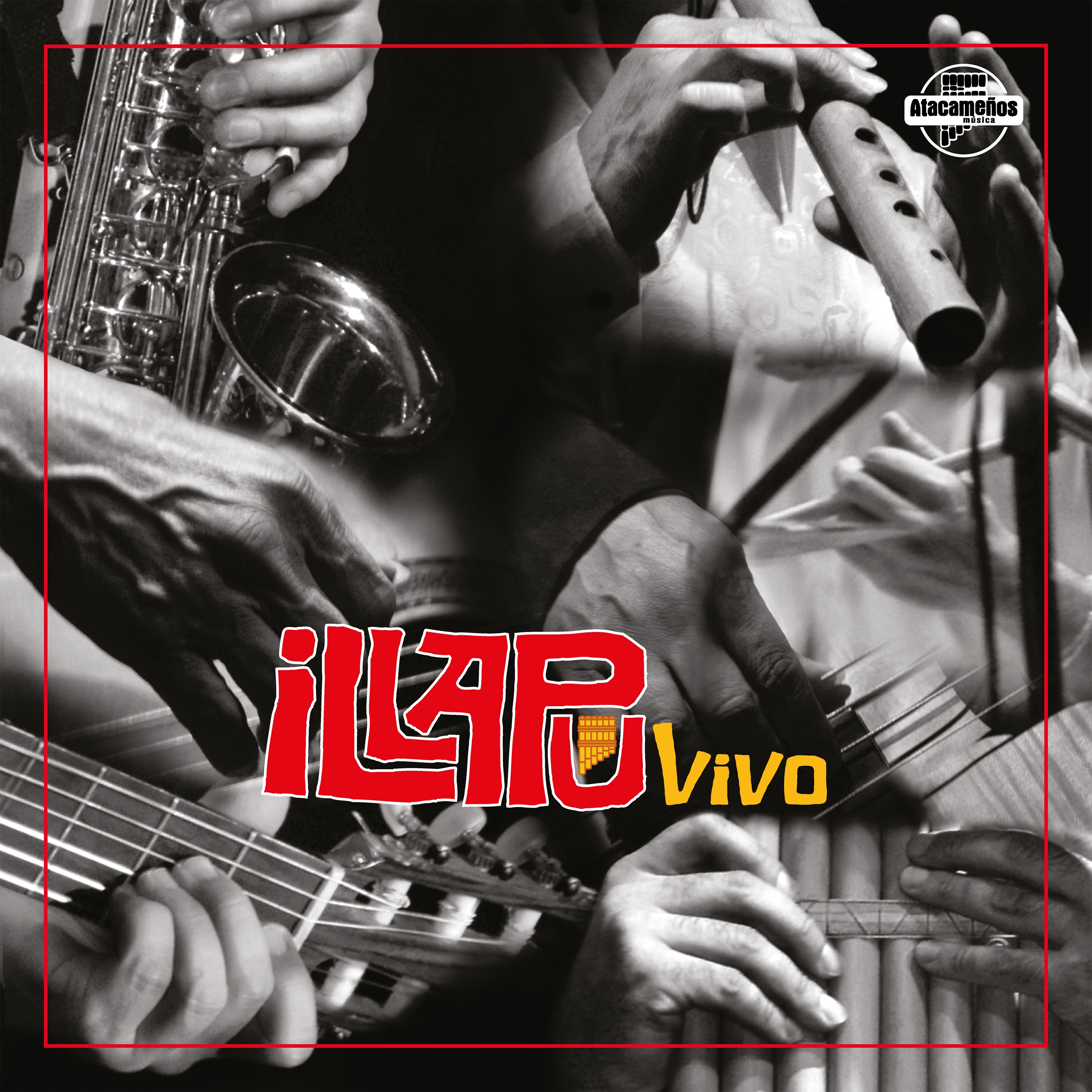 Vivo album cover