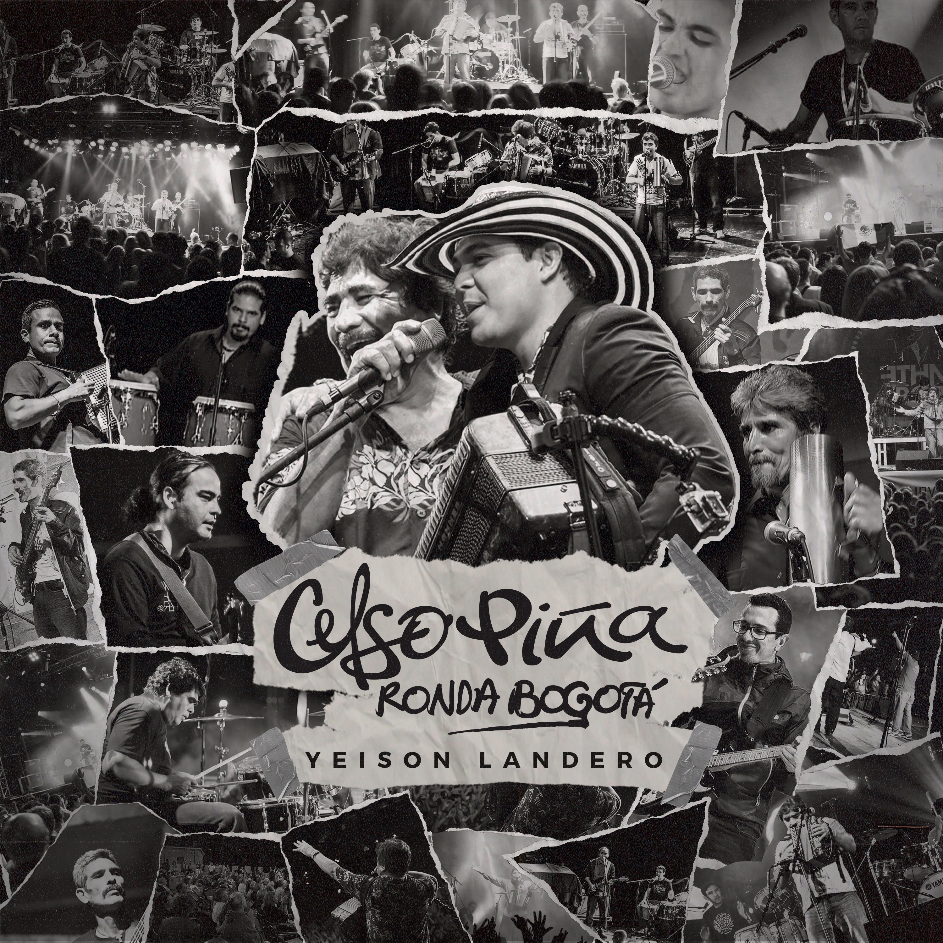 La Pava Congona (En Vivo) - Single album cover