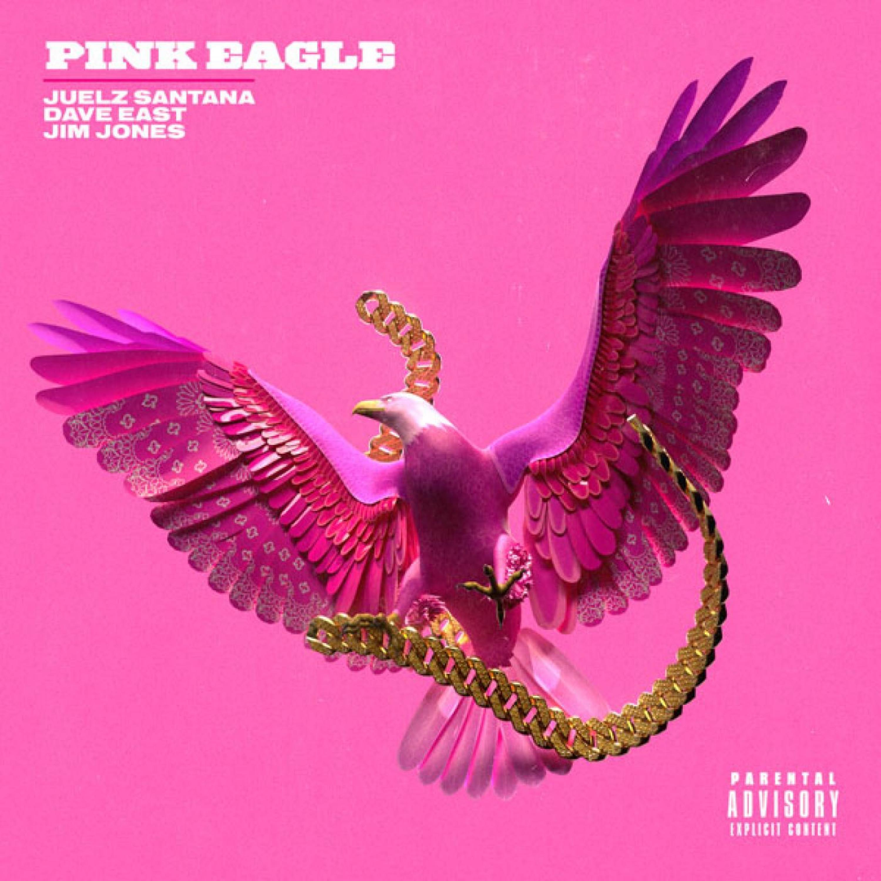 Pink Eagle (feat. Dave East, Jim Jones) - Single album cover