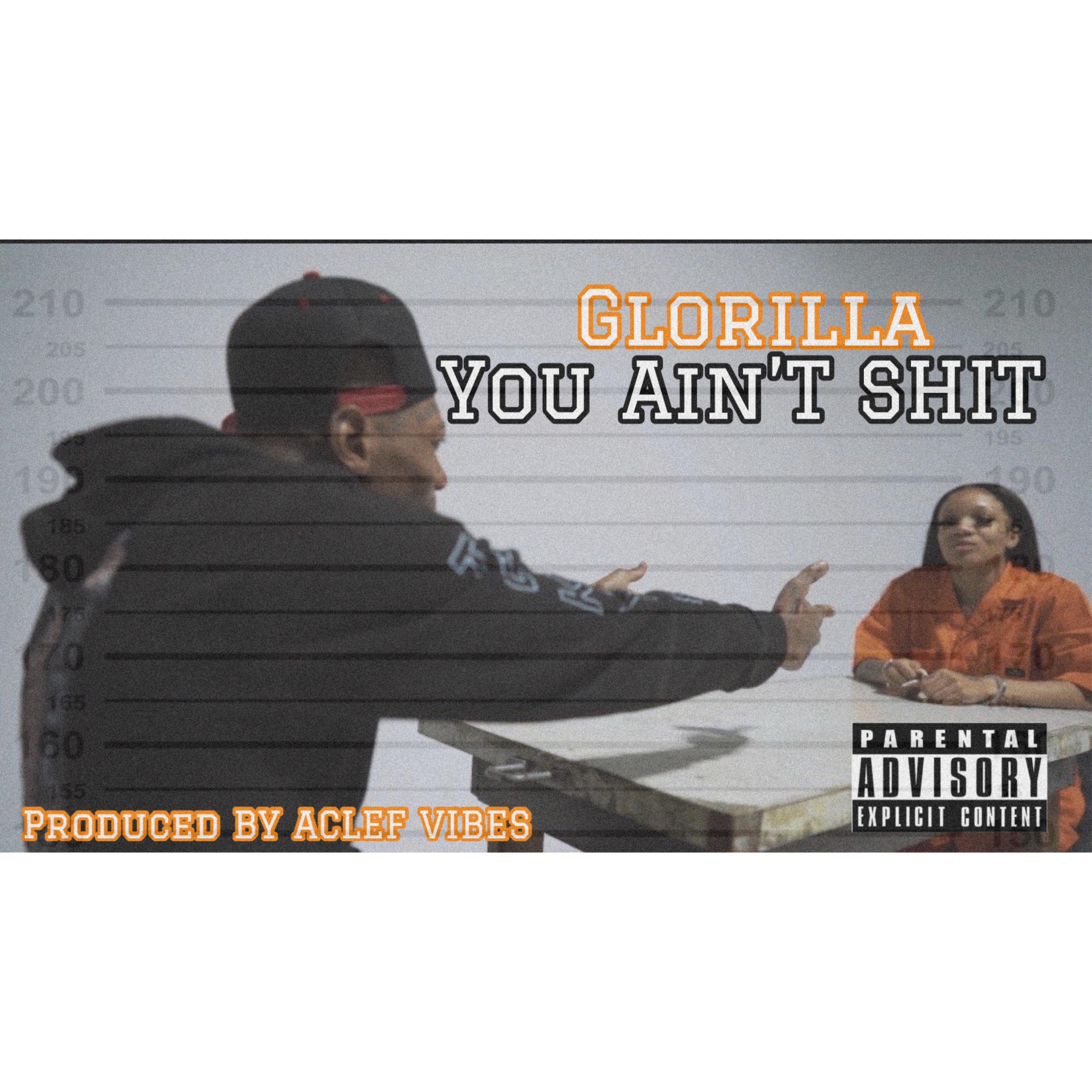 You Ain't Shit - Single album cover