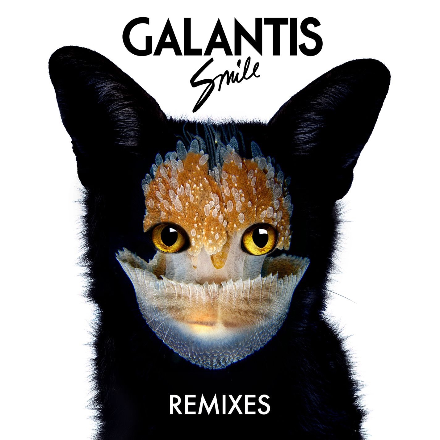 Smile (Remixes) - EP album cover