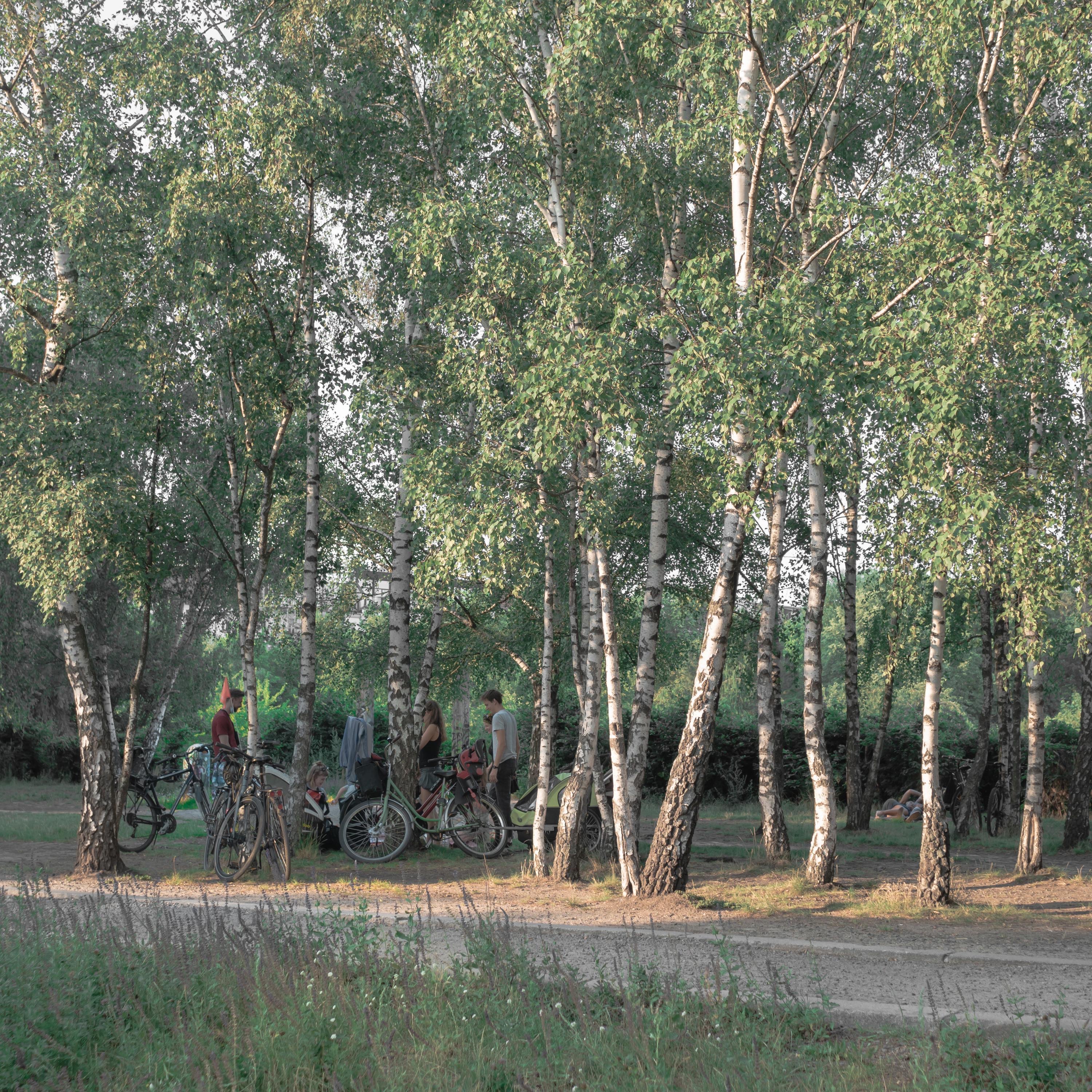 Picnic - Single album cover