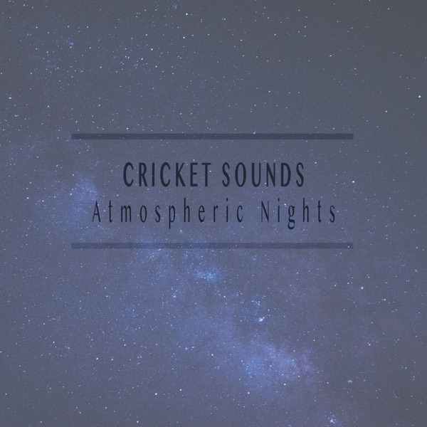 Atmospheric Nights album cover