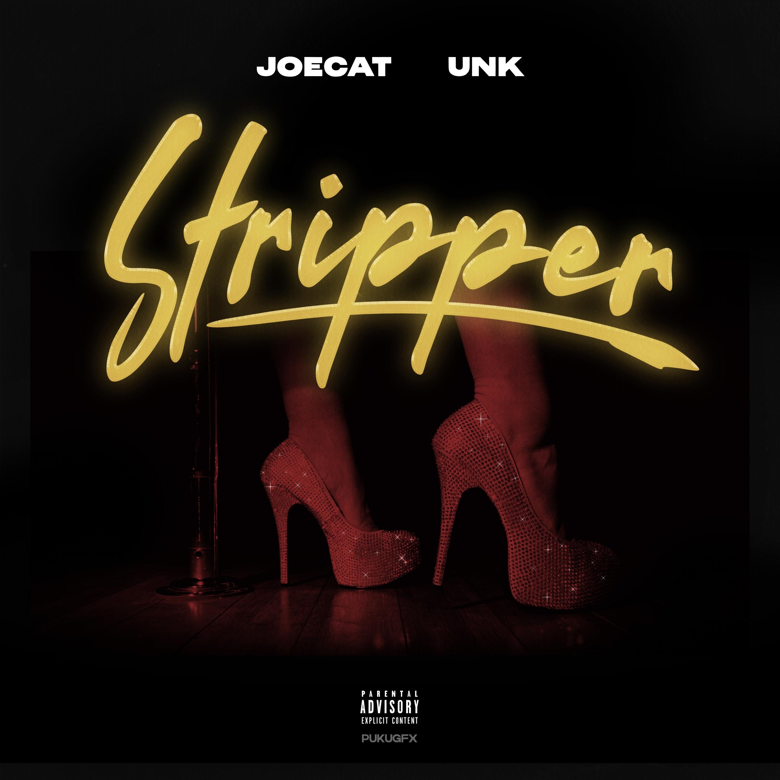 Stripper (feat. Unk) - Single album cover
