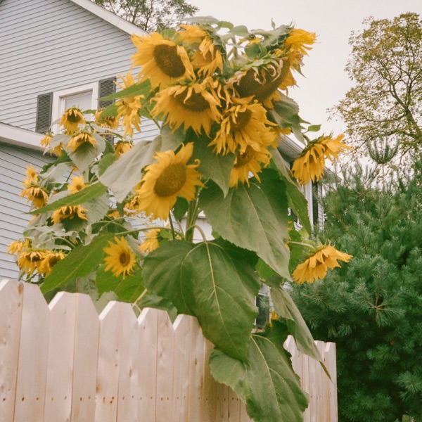 First Love (feat. SOLE) - Single album cover