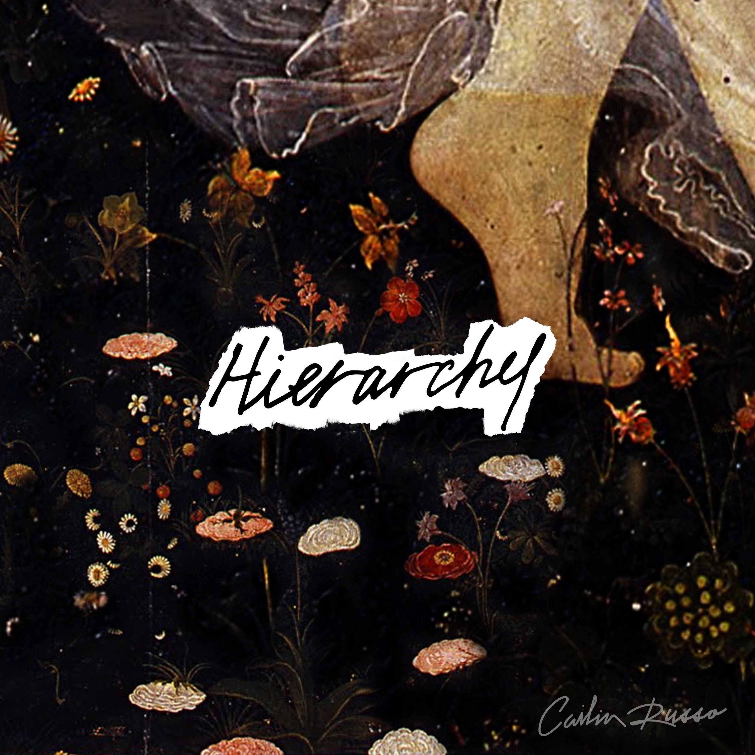 Hierarchy - Single album cover