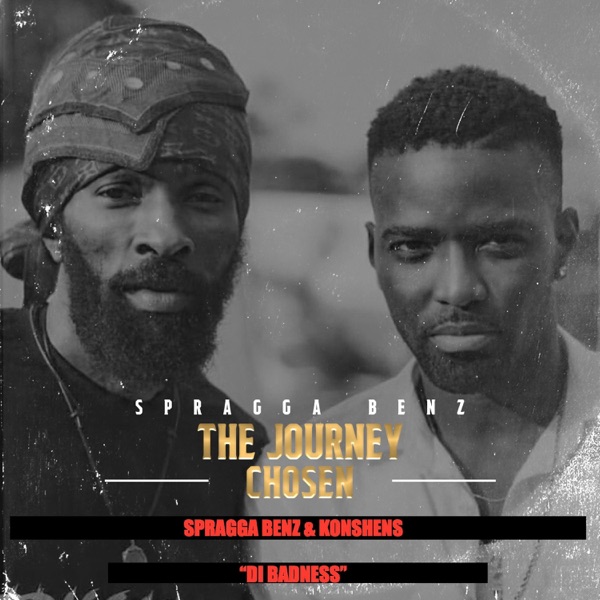 DI Badness (feat. Konshens) - Single album cover