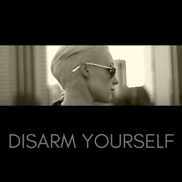 Disarm Yourself (The Remixes) album cover