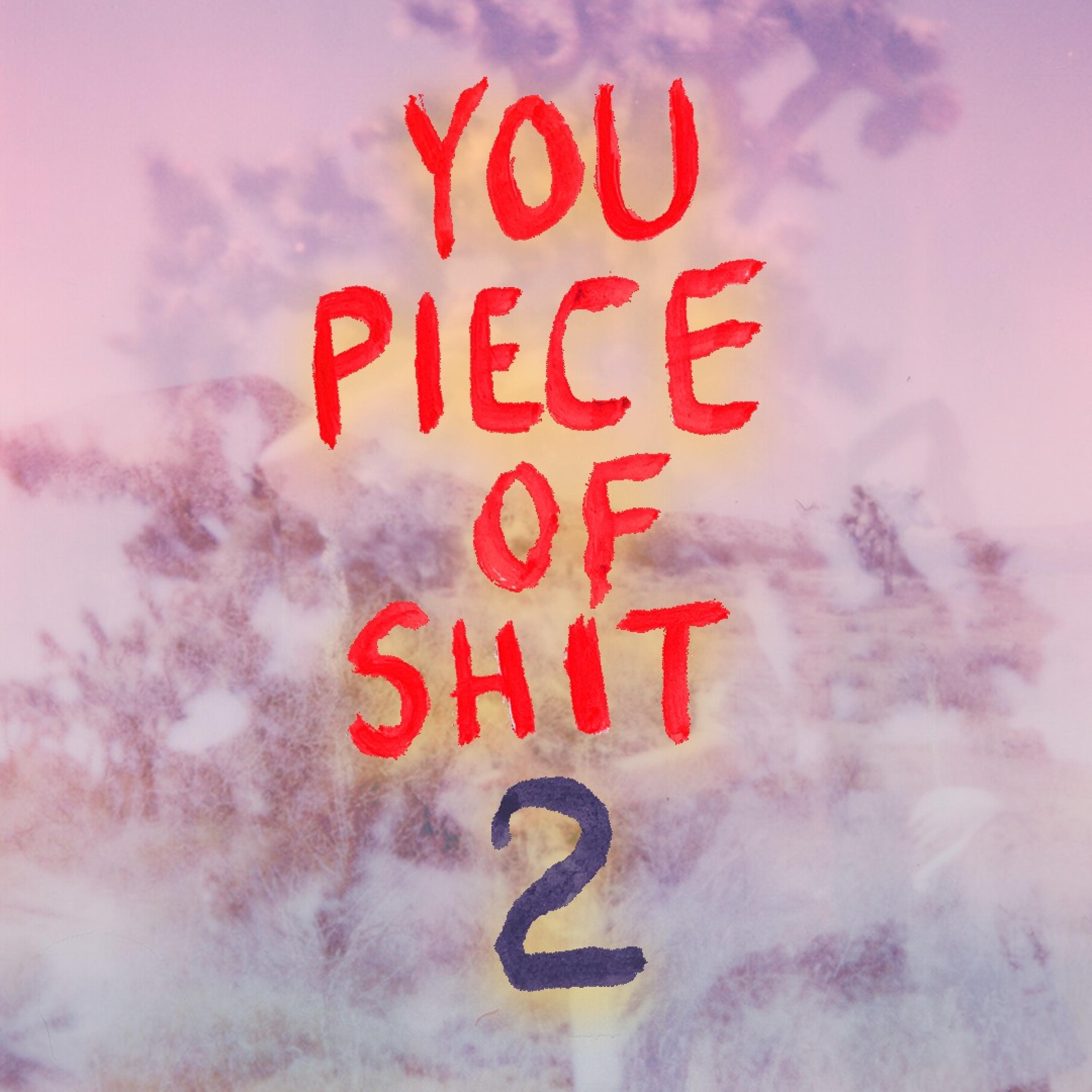 You Piece of Shit 2 (A Self-Help Album) album cover