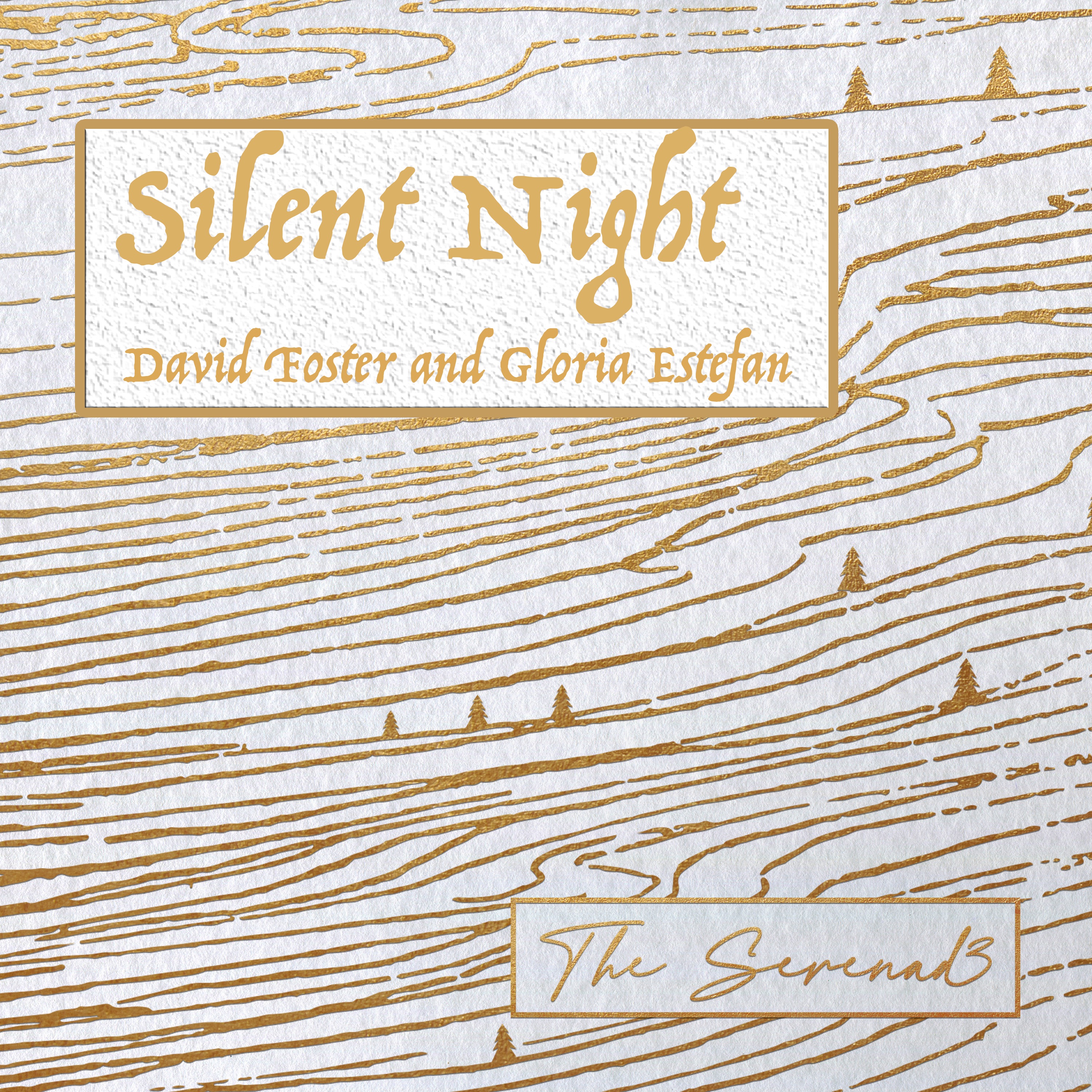 Silent Night - Single album cover