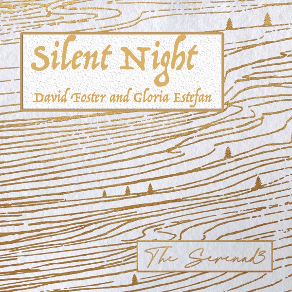 Silent Night - Single album cover