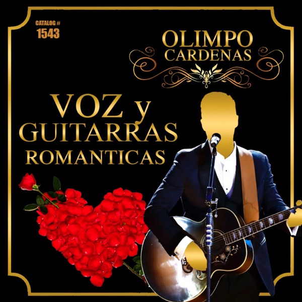 Voz y Guitarras Románticas album cover