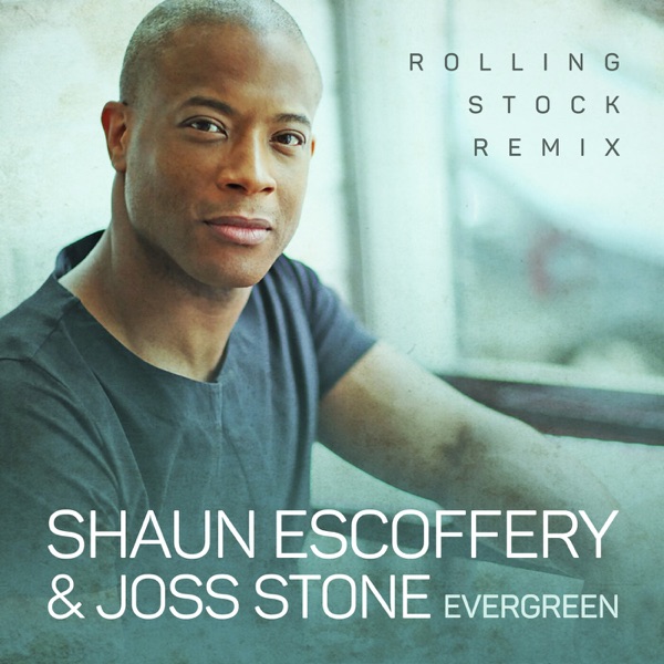 Evergreen (Rolling Stock Remix) [feat. Joss Stone] - Single album cover