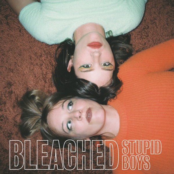 Stupid Boys - Single album cover