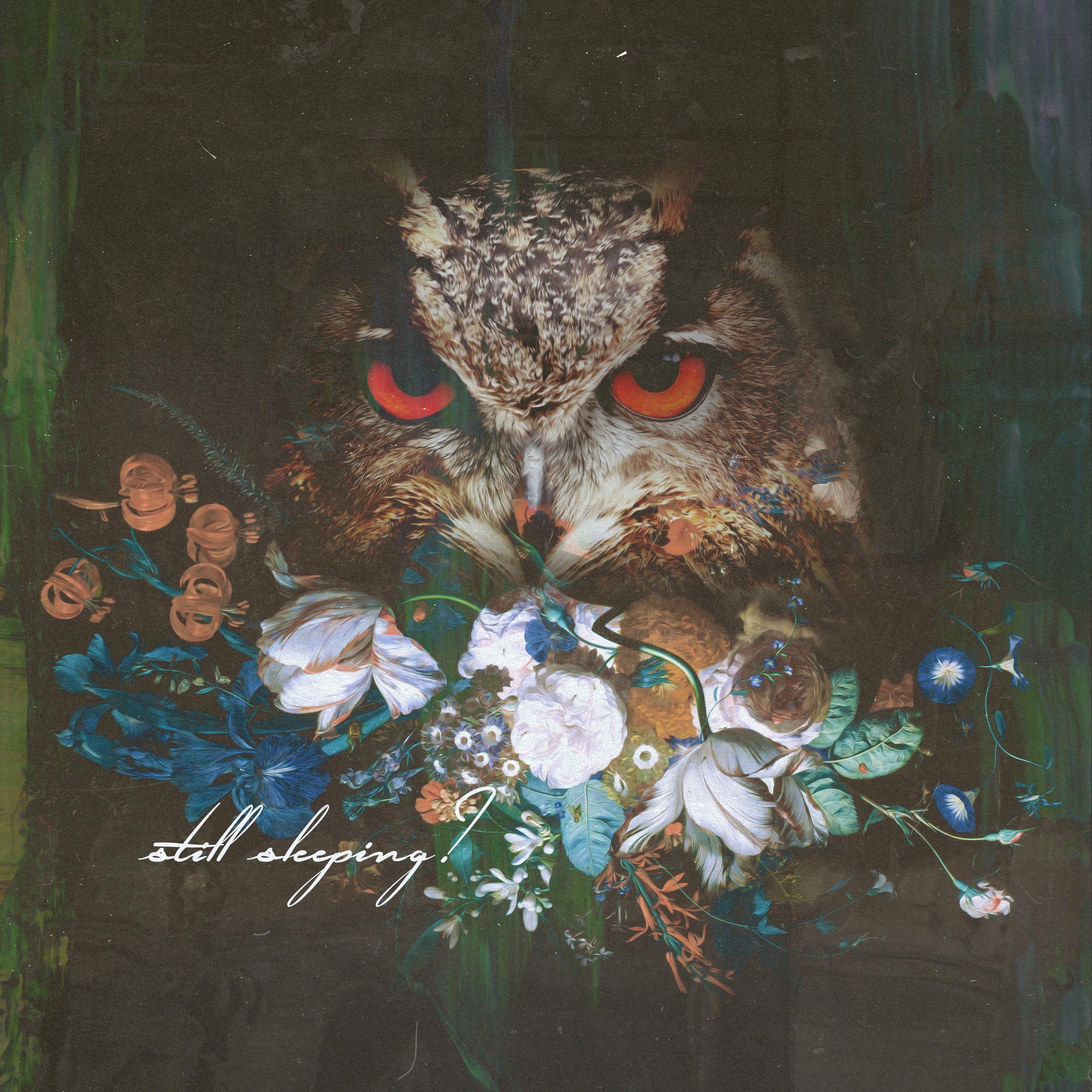 Still Sleeping album cover