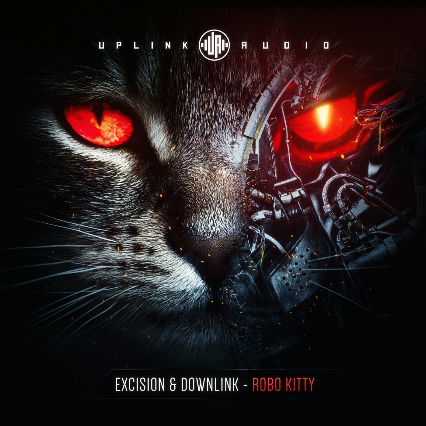 Robo Kitty - Single album cover
