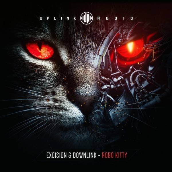 Robo Kitty - Single album cover