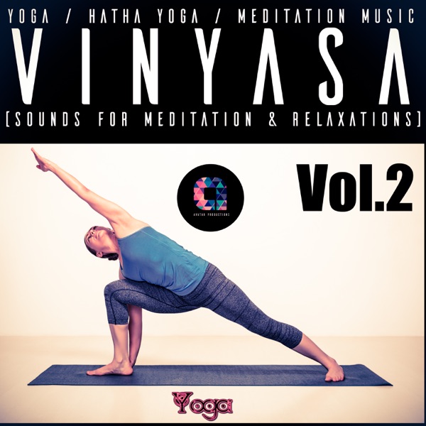 Vinyasa, Vol.2 album cover