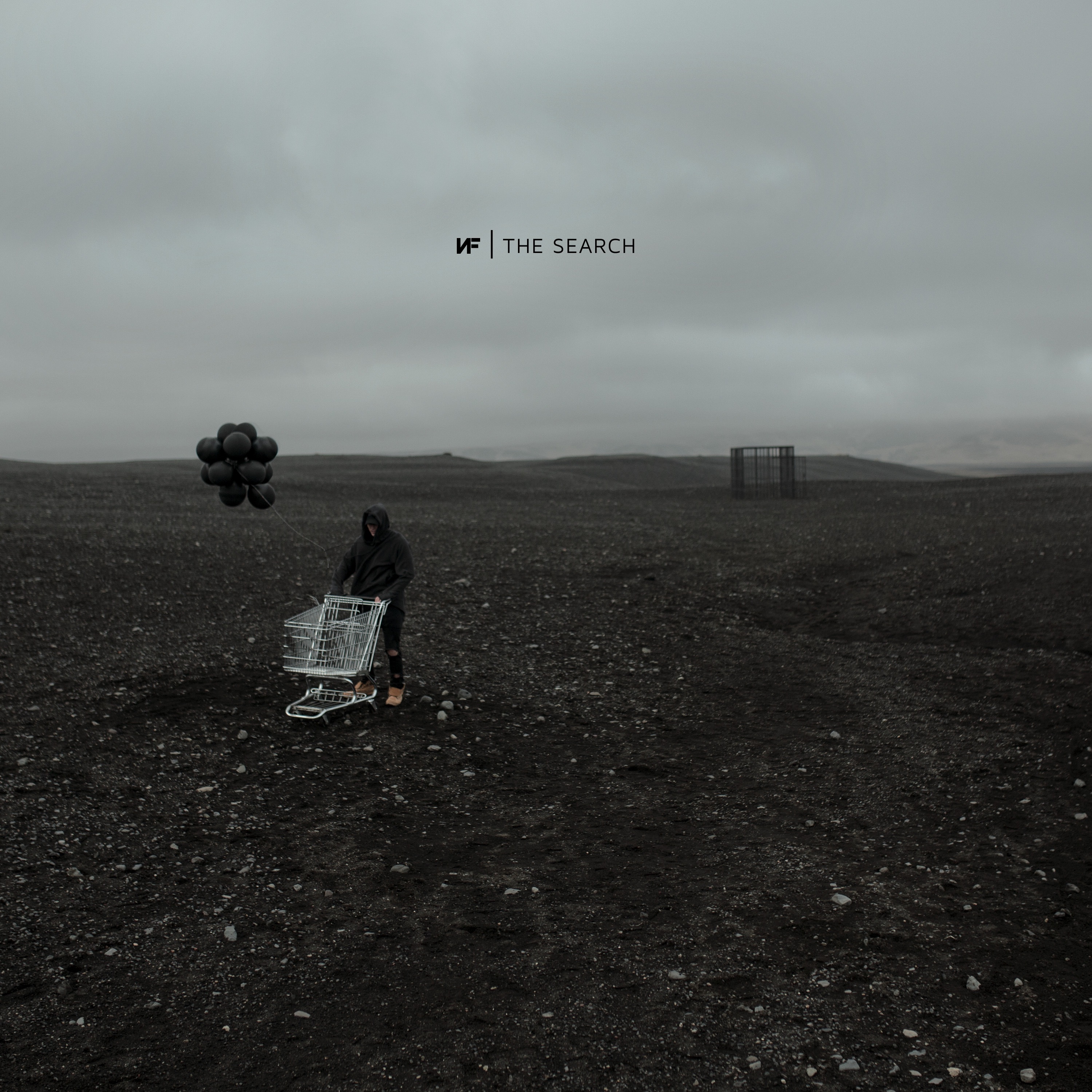 The Search - Single album cover