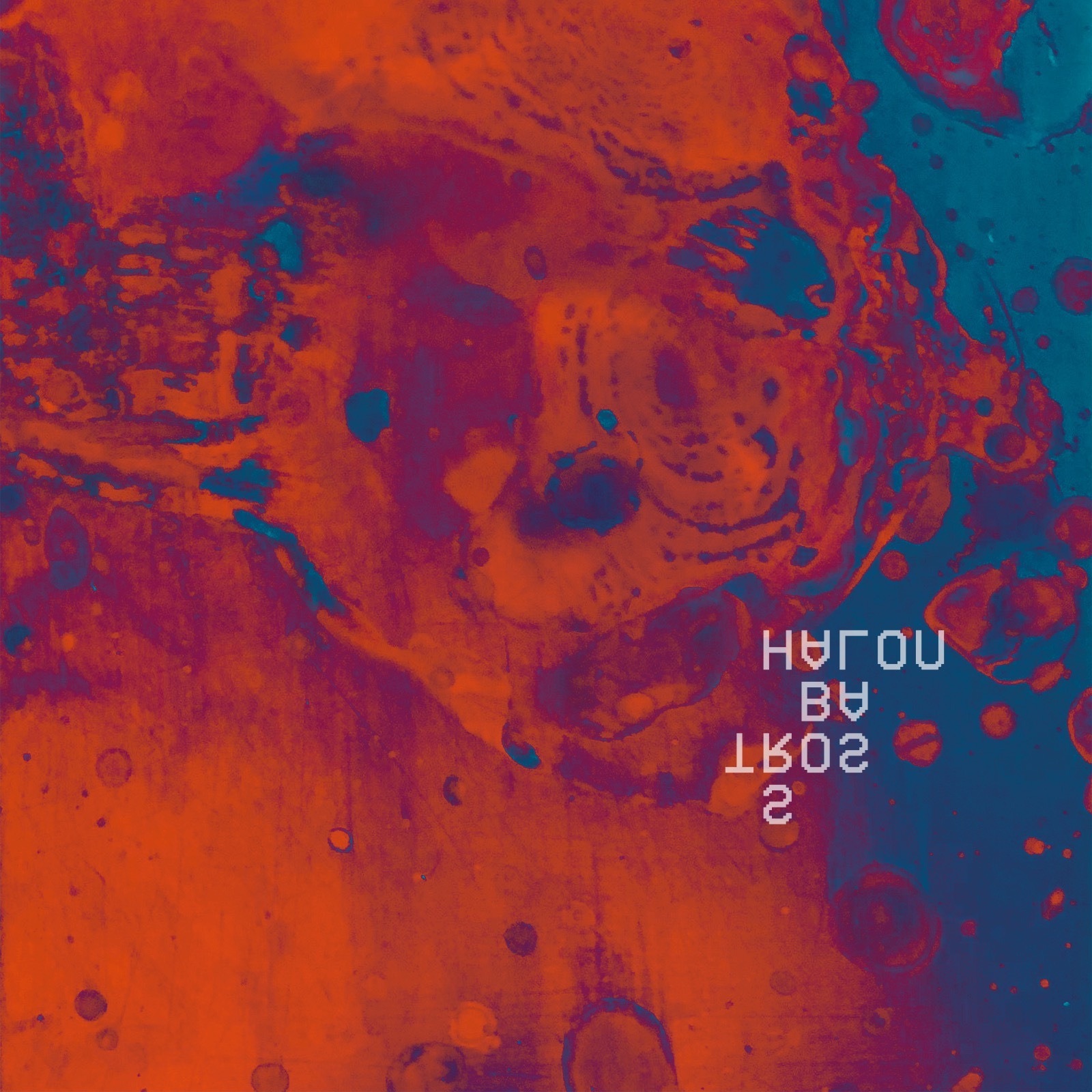 Albatross album cover