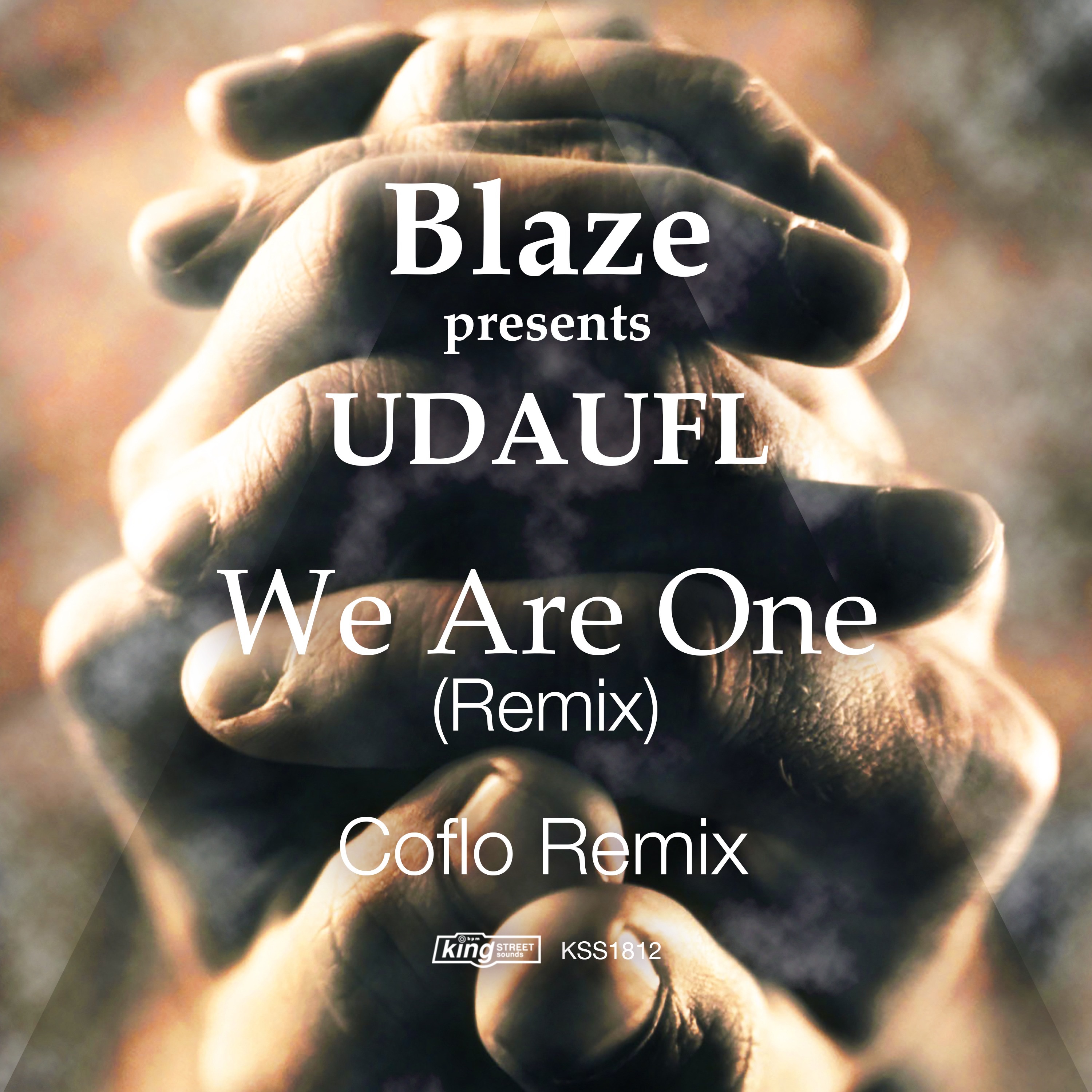 We Are One (Remix) - Single album cover