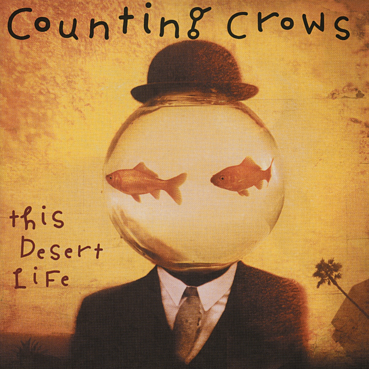 This Desert Life album cover