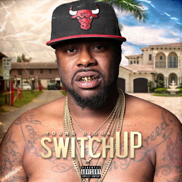 Switch Up - Single album cover